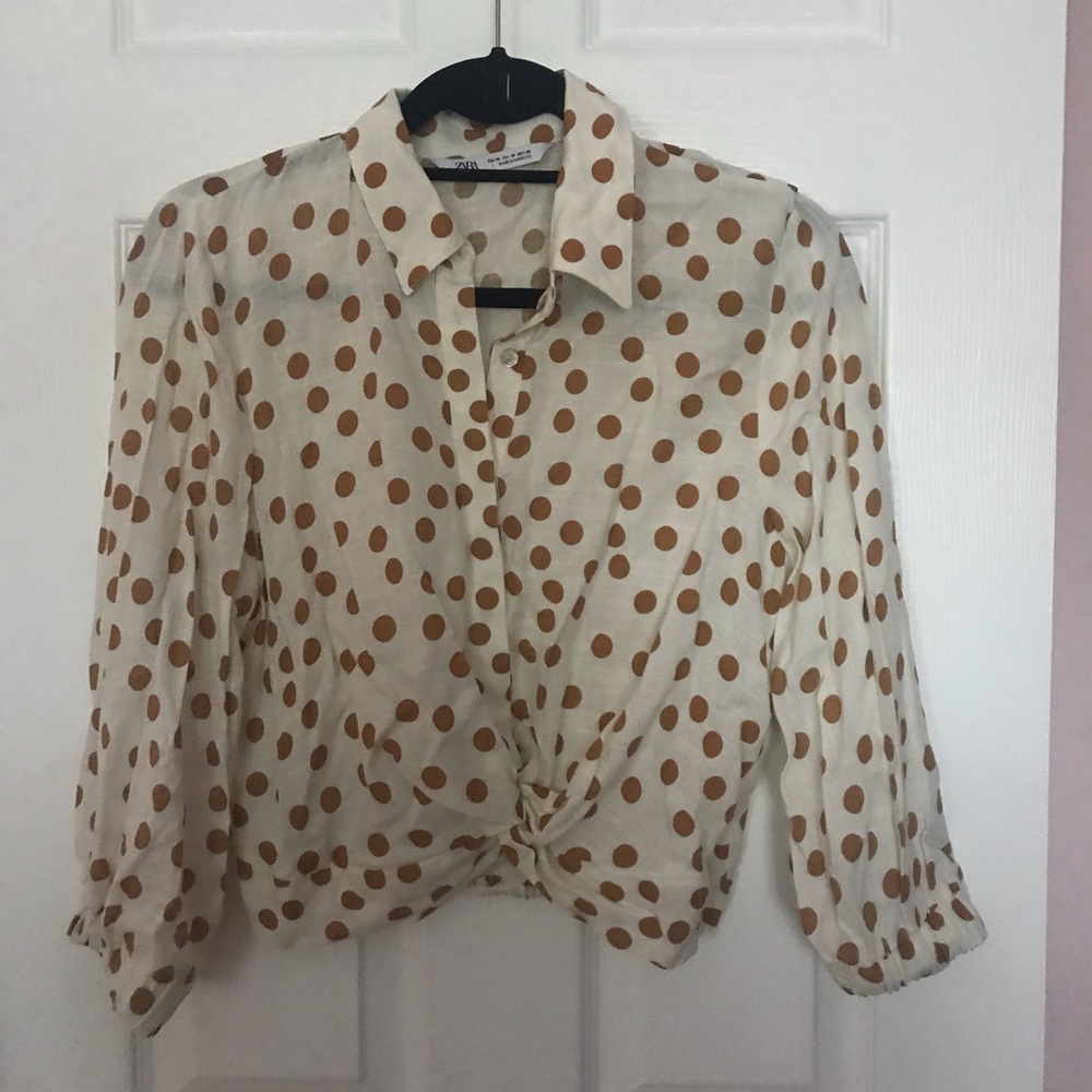 Business casual button up